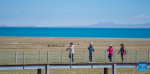 Tourists enjoy the scenery of Serling Tso Lake in southwest China`s Xizang Autonomous Region, June 22, 2024.(Xinhua/Tenzin Nyida)