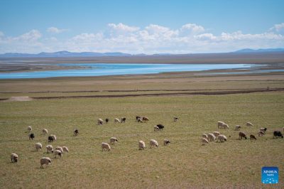 Scenery of Serling Tso Lake in SW China's Xizang