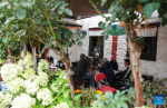 This photo taken on July 5, 2024 shows a view of a cafe on the Barkhor Street in Lhasa, southwest China`s Xizang Autonomous Region. Located at a century-old courtyard in the capital city of Xizang, this cafe with exquisite decorations is jointly operated by 28-year-old Tenzin Tegchok and his buddies. The courtyard is not only where Tenzin Tegchok was raised, but also a depot of his reminiscence. The cafe, for its part, has injected much vigor to the time-honored building that accommodates it. (Photo by Kalsang Yudron/Xinhua)