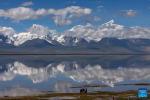 People take photos of Mount Chomolhari from a wetland park in Yadong County of Xigaze City, southwest China`s Xizang Autonomous Region, Aug. 1, 2024. (Xinhua/Jiang Fan)