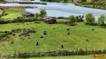 Photo shows a summer view of Yani national wetland park in Nyingchi, southwest China’s Xizang Autonomous Region. (People’s Daily Online/Tsering Norbu)