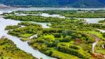 Photo shows the picturesque summer scenery of Yani national wetland park in Nyingchi, southwest China’s Xizang Autonomous Region. (People’s Daily Online/Tsering Norbu)