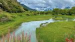 Photo shows a breathtaking view of Yani national wetland park in Nyingchi, southwest China’s Xizang Autonomous Region, in the height of summer. (People’s Daily Online/Tsering Norbu)