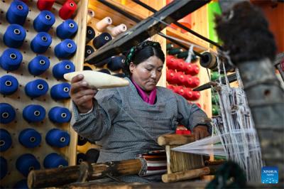 Pulu weaving industry revitalized in Xizang, SW China